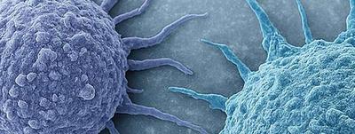 CAR-T-Zellen sicher einfrieren