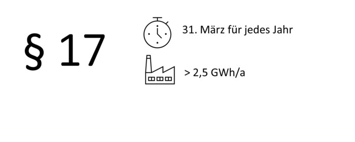 Paragraph 17 des Energieeffizienzgesetzes
